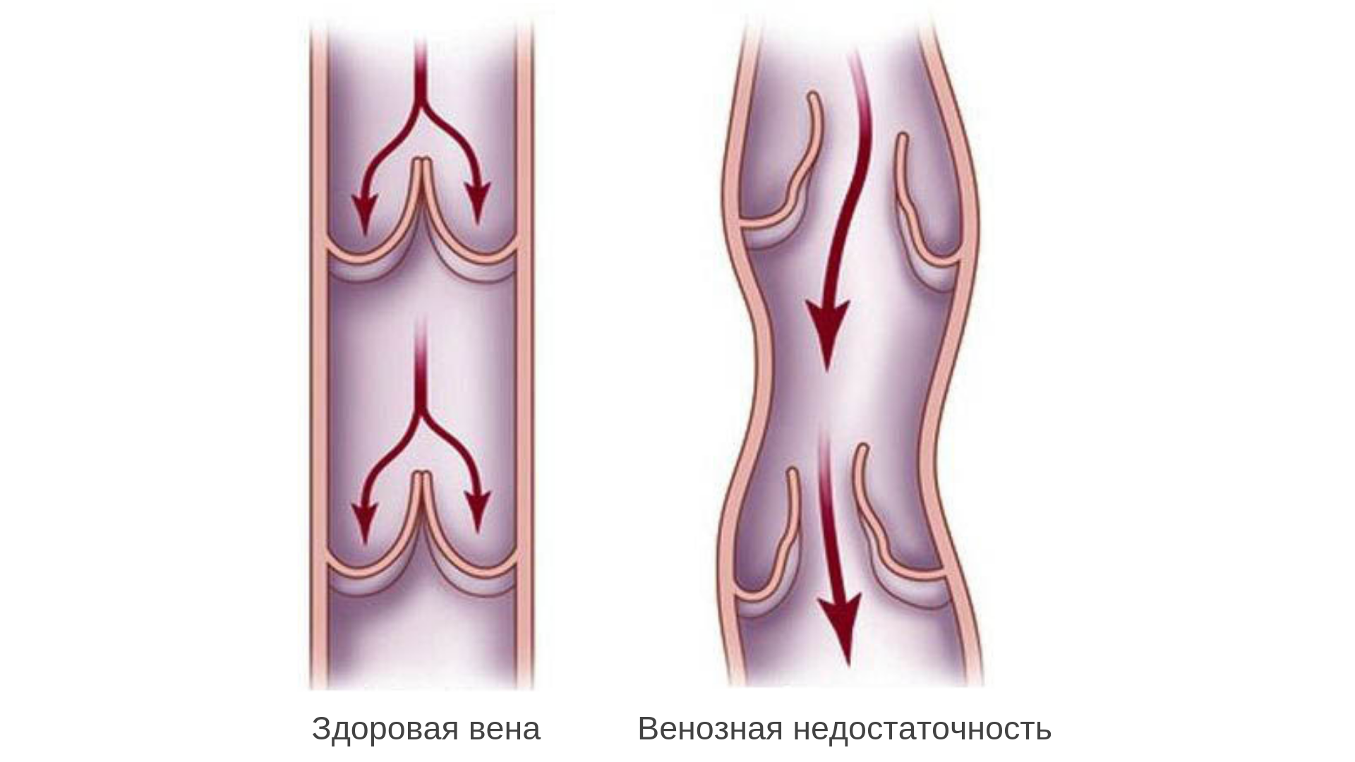 Заголовок